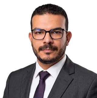 صورة المحاضر